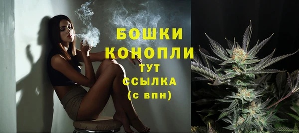 СК Гусев