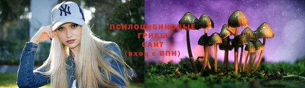 СК Гусев