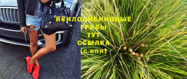 СК Гусев