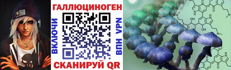 Галлюциногенные грибы Cubensis  купить закладку  Нерюнгри 